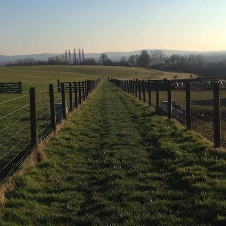 Villa The Piggery Cowfold Esterno foto